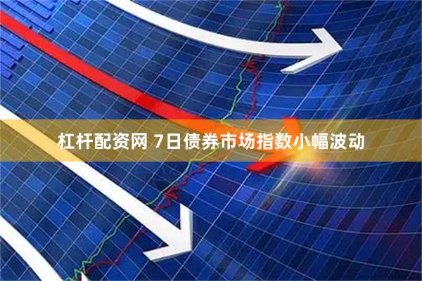 杠杆配资网 7日债券市场指数小幅波动